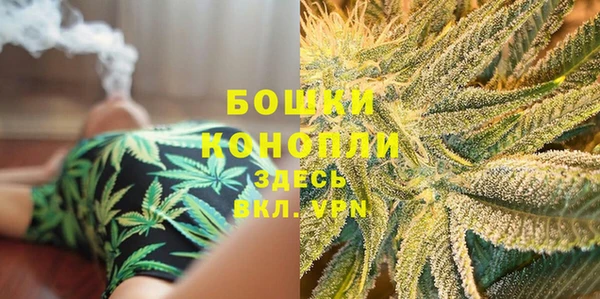 ешки Мегион