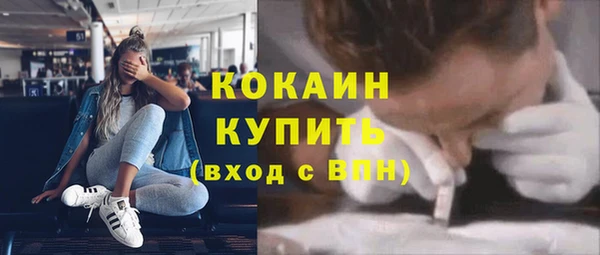 прущие грибы Вязники