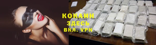 СК Медвежьегорск