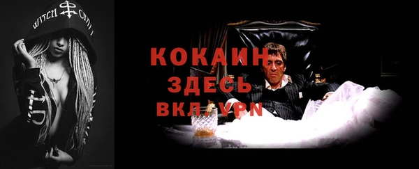 ешки Мегион
