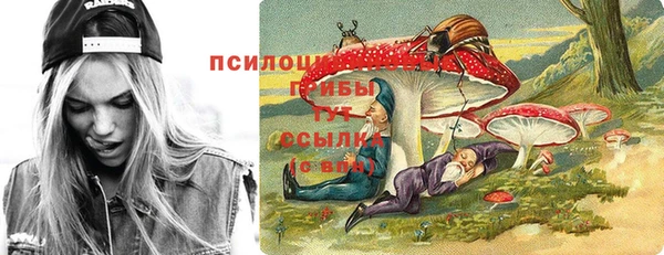 ешки Мегион