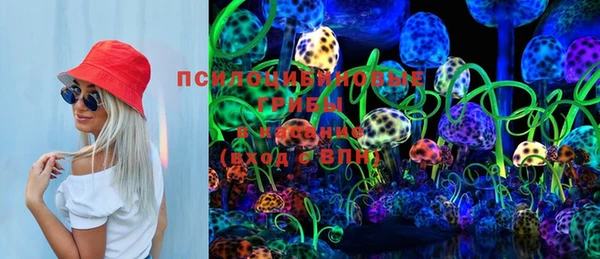 ешки Мегион