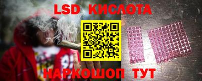 стаф Будённовск
