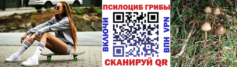 Псилоцибиновые грибы GOLDEN TEACHER  где можно купить   Дивногорск 