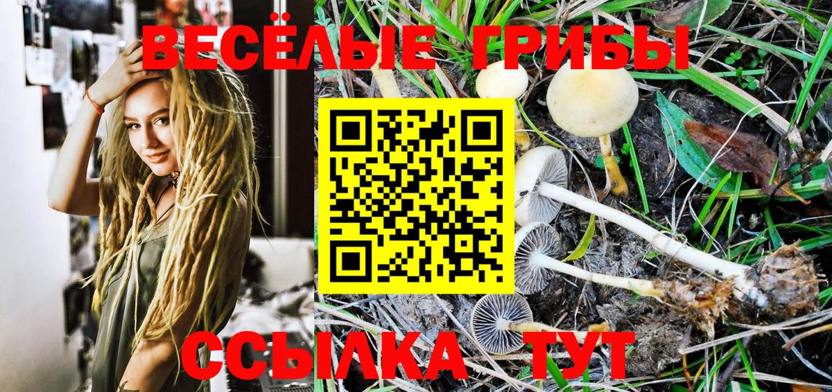 Галлюциногенные грибы MAGIC MUSHROOMS Дивногорск
