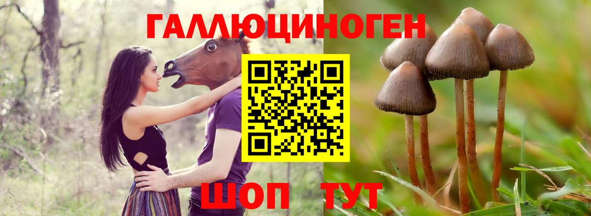 хочу наркоту  Вход с VPN  Дивногорск  Галлюциногенные грибы Magic Shrooms 